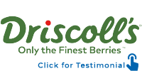 Driscolls testimonial